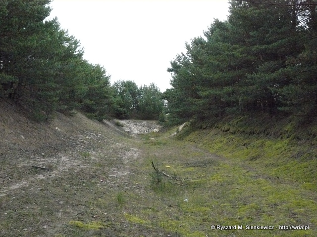 Wyrobisko po strzelnicy w byłym 64. dr OP m. Hel-Bór. Wyrobisko po strzelnicy w byłym 64. dr OP m. Hel-Bór.