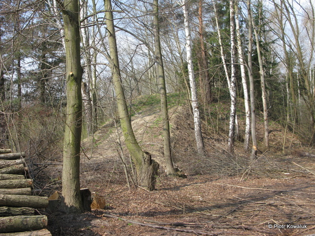 Stanowisko PKM-2 w 9. dr OP m. Teresin. Stanowisko PKM-2 w 9. dr OP m. Teresin.