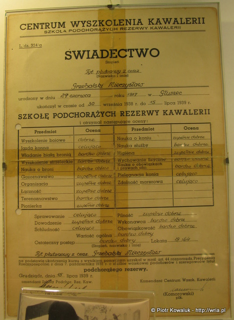 Świadectwo CWK. Świadectwo ukończenia CWK